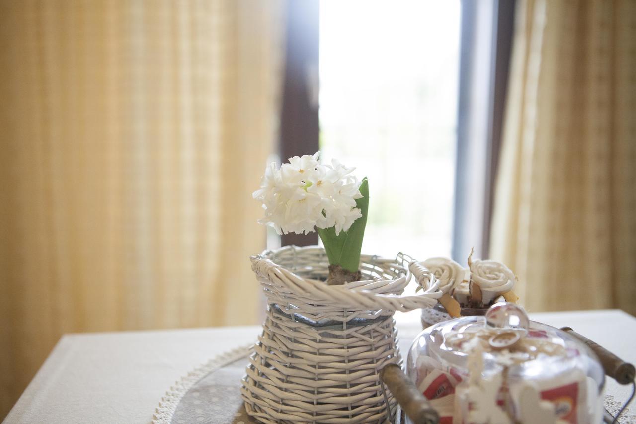 B&B La Gioiosa Assisi Bagian luar foto