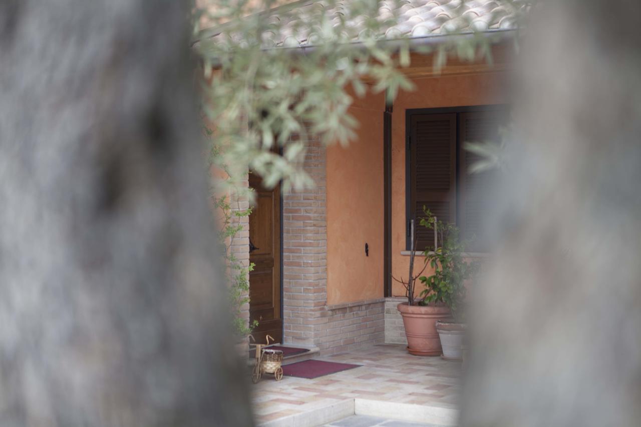 B&B La Gioiosa Assisi Bagian luar foto