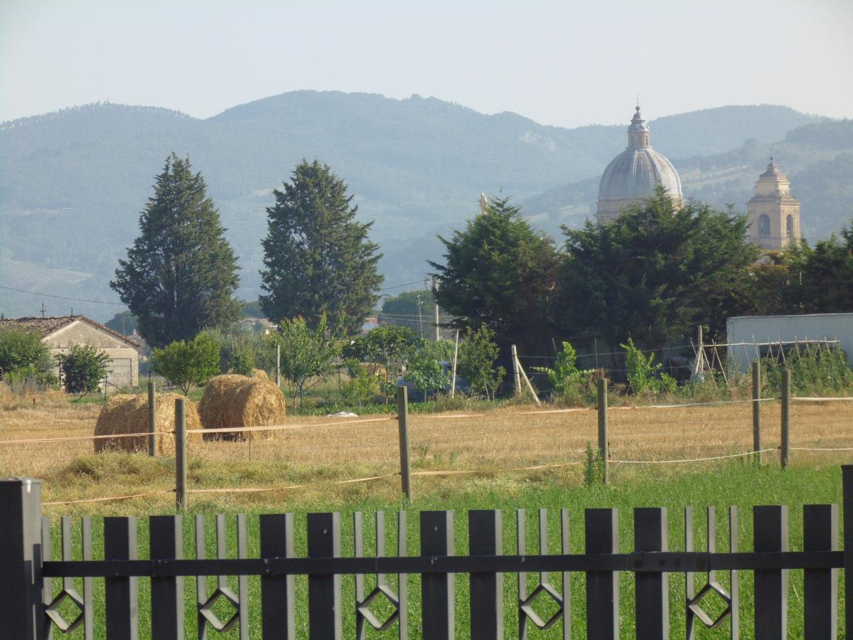 B&B La Gioiosa Assisi Bagian luar foto