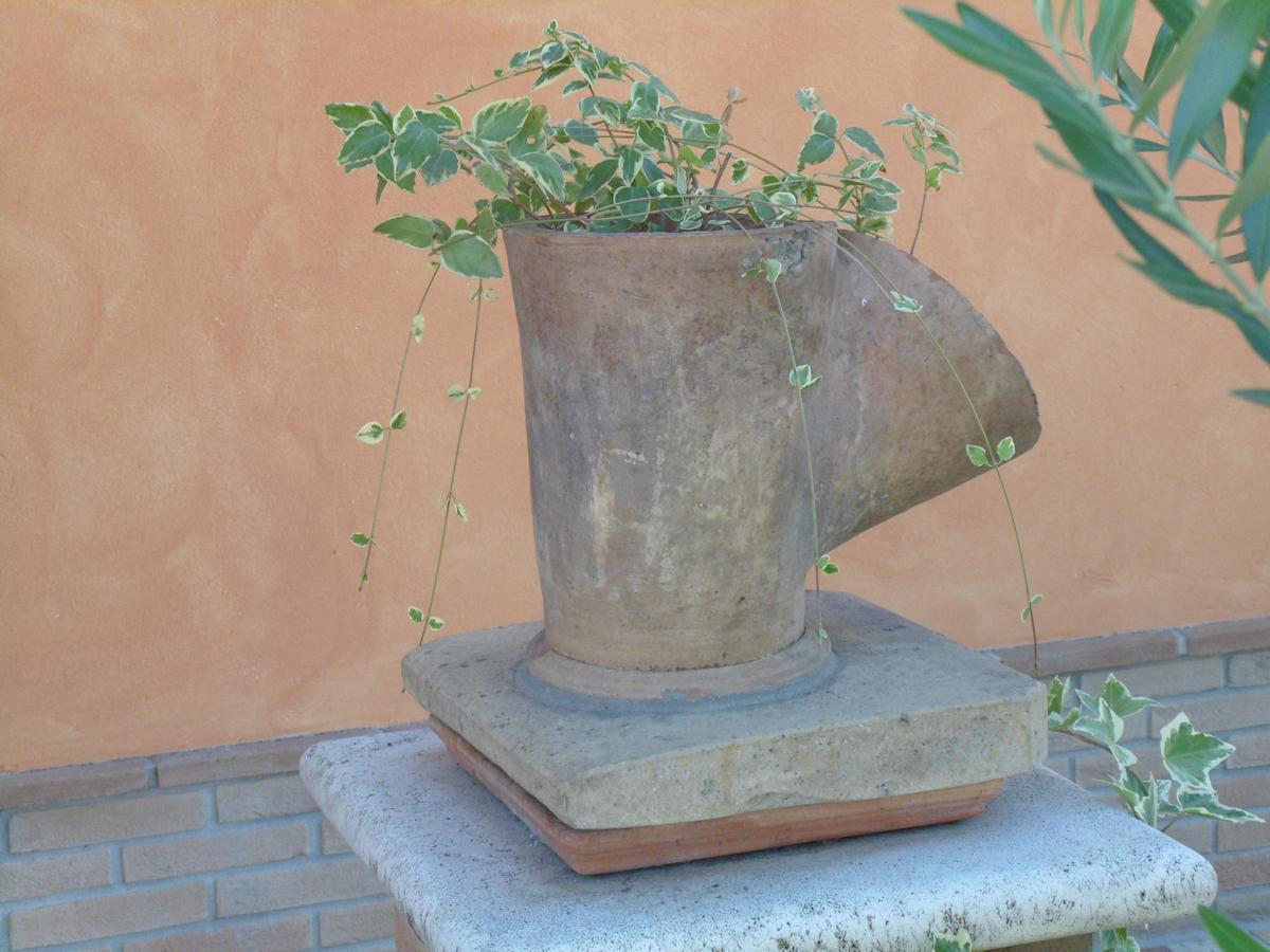 B&B La Gioiosa Assisi Bagian luar foto