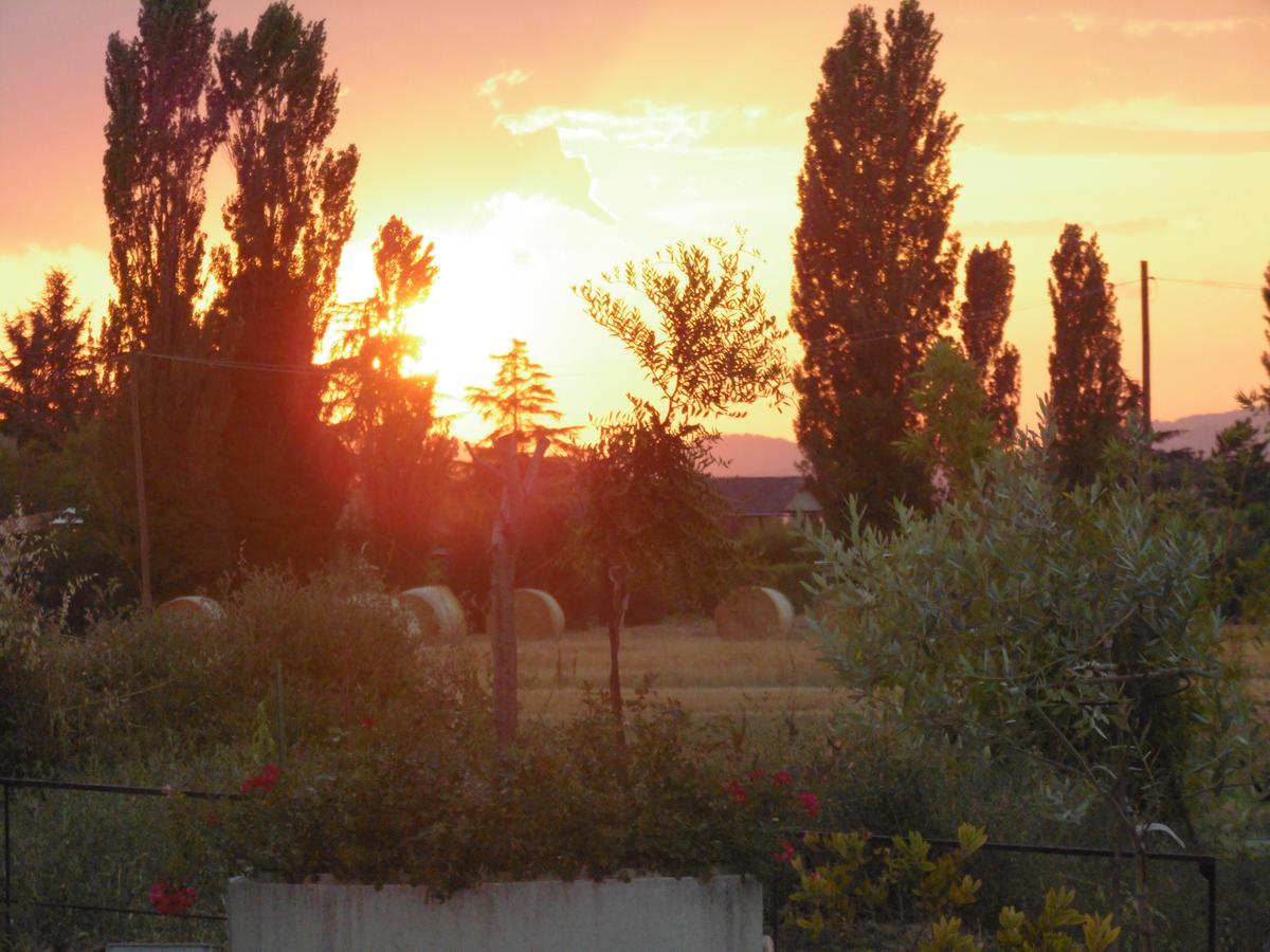 B&B La Gioiosa Assisi Bagian luar foto